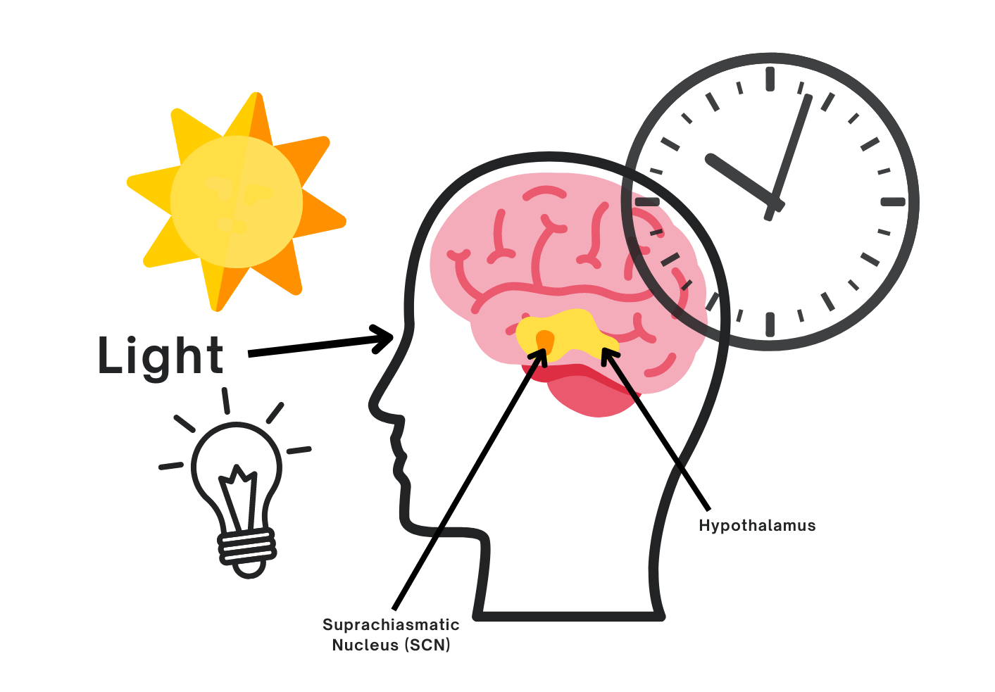 The Psychological Impact of Lighting - Unibox